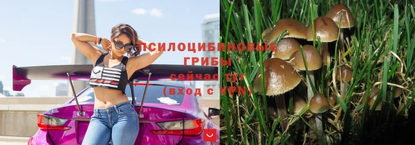 spice Россошь