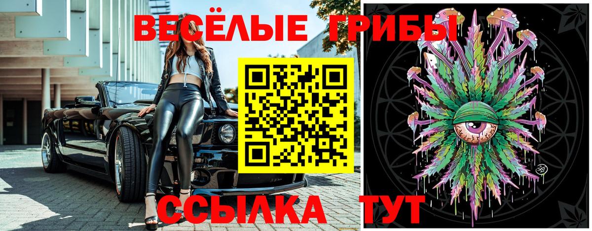 Галлюциногенные грибы Cubensis Белебей