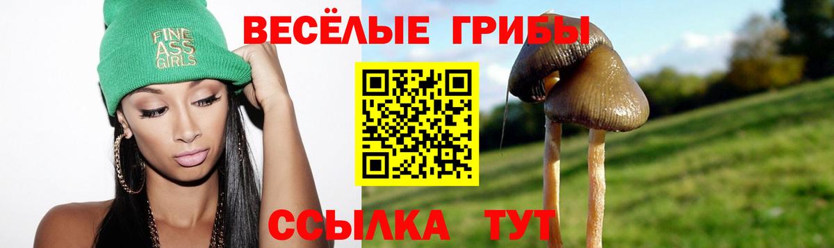 Галлюциногенные грибы GOLDEN TEACHER  Белебей 